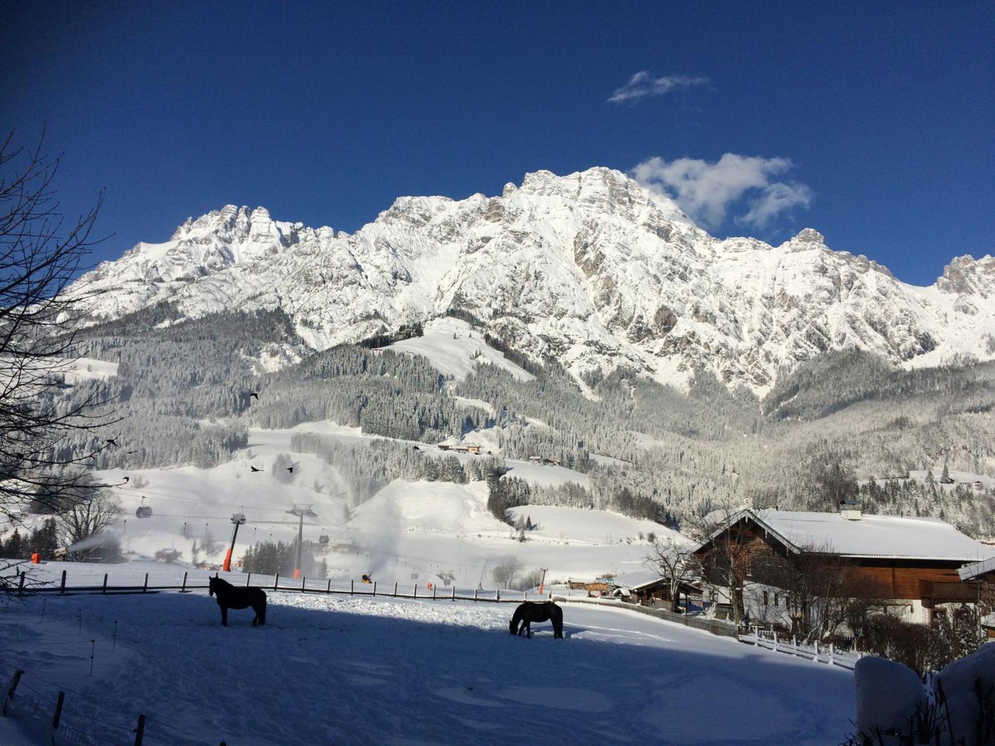 Vila Stockingbauer Leogang Exteriér fotografie